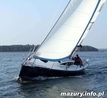 Cobra 33
