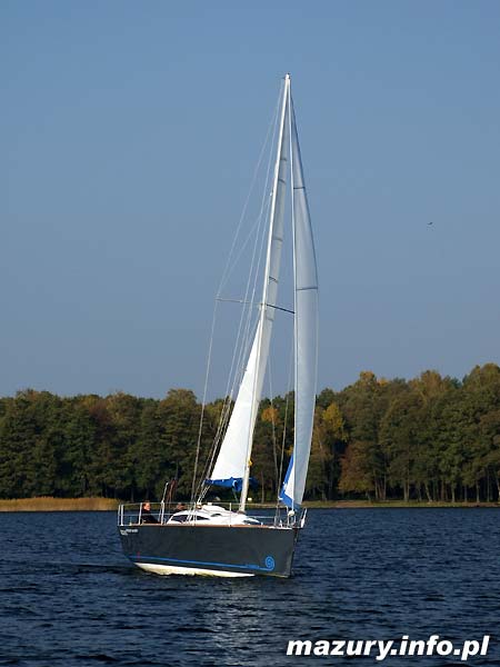 Cobra 33