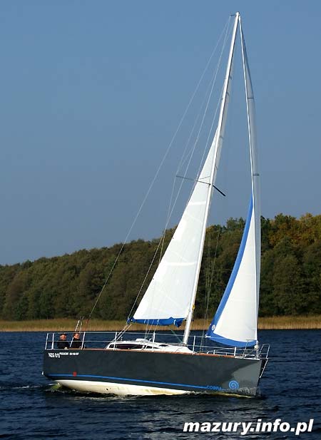 Cobra 33