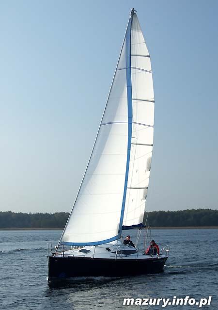 Cobra 33