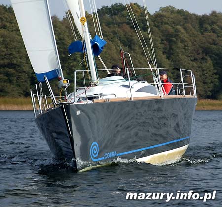 Cobra 33