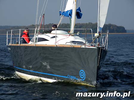 Cobra 33