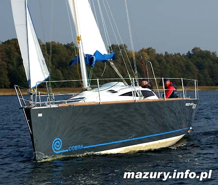 Cobra 33