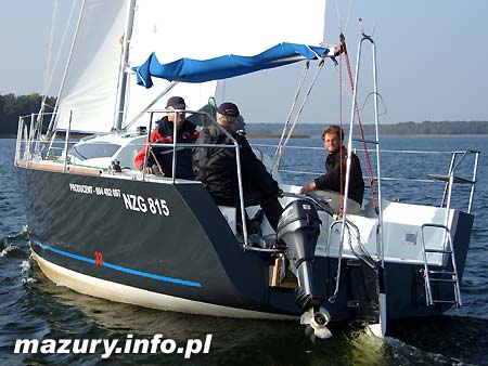 Cobra 33