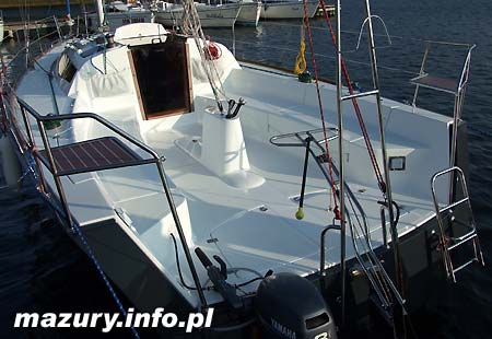 Cobra 33