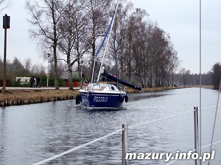 Maxus 33