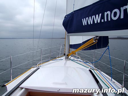 Maxus 28