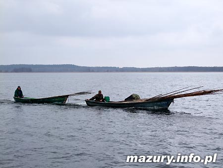 Maxus 28