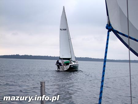 Maxus 28