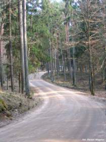 2005-04-13_nidzkie-03.jpg
