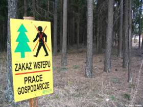 2005-04-13_nidzkie-05.jpg
