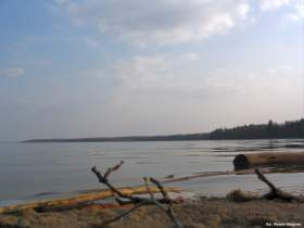 2005-04-13_nidzkie-10.jpg