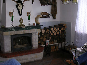 Salon kominkowy
