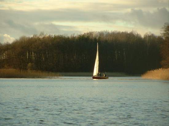 regaty05.jpg