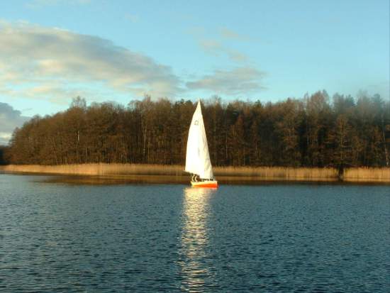 regaty08.jpg